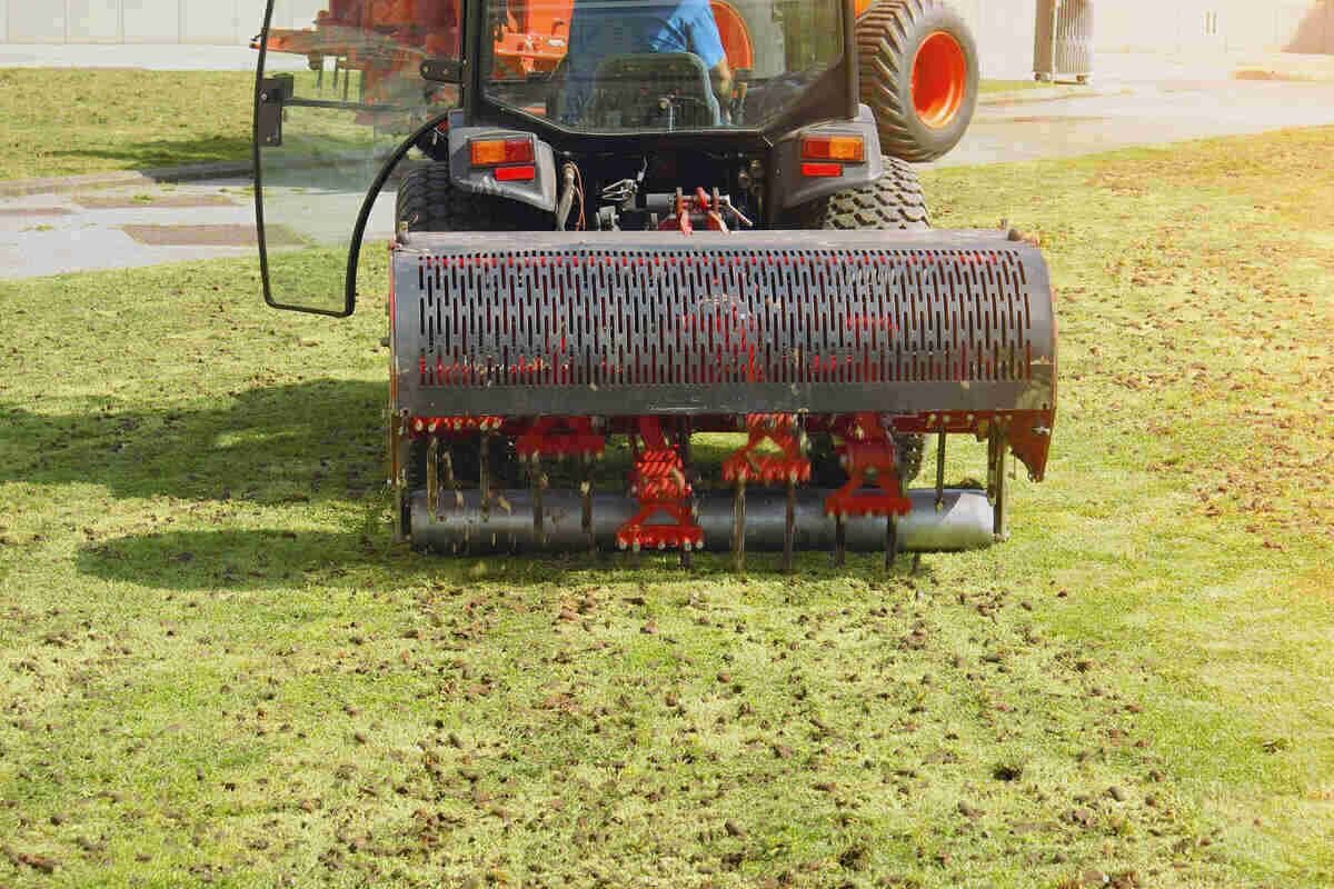 Close-up of core aeration plugs on a lawn