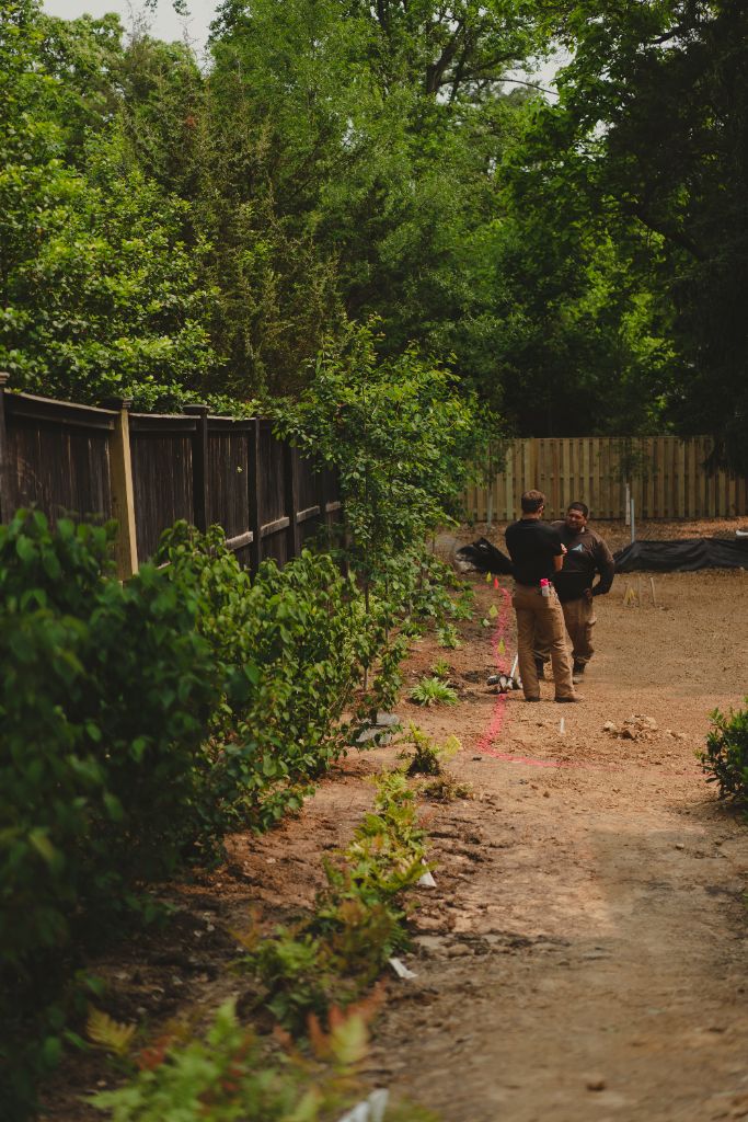 Avalon crew installing new hedges and property line plantings
