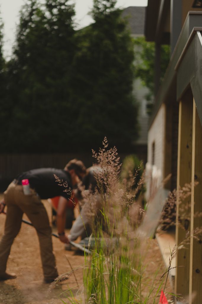 Avalon crew planting ornamental grasses beside a new deck