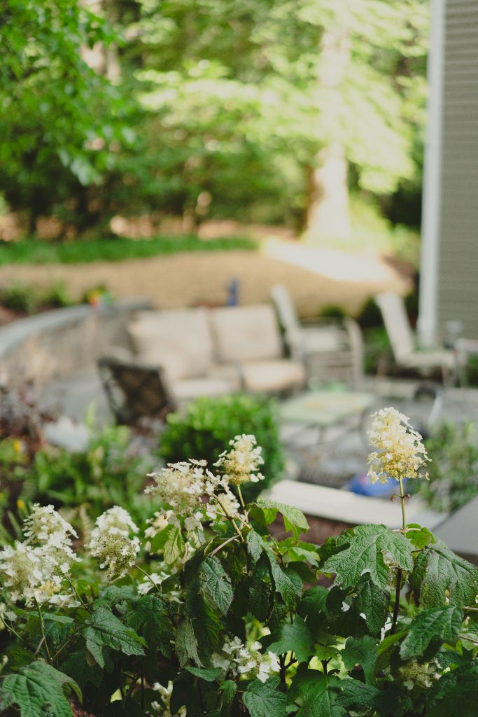 Bluestone patio seating with mature hydrangeas