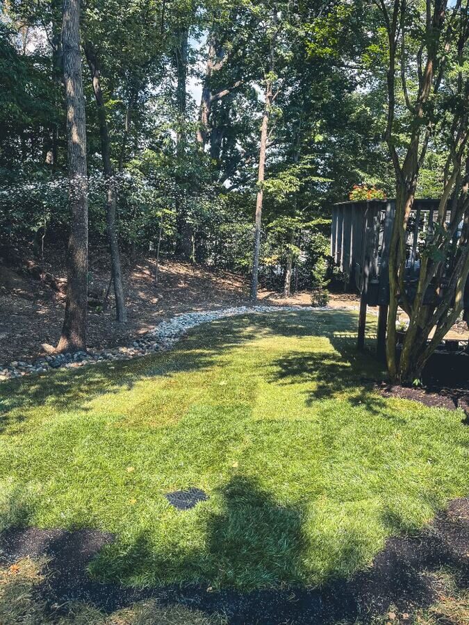 After: healthy established lawn with a river-rock drainage swale along the treeline