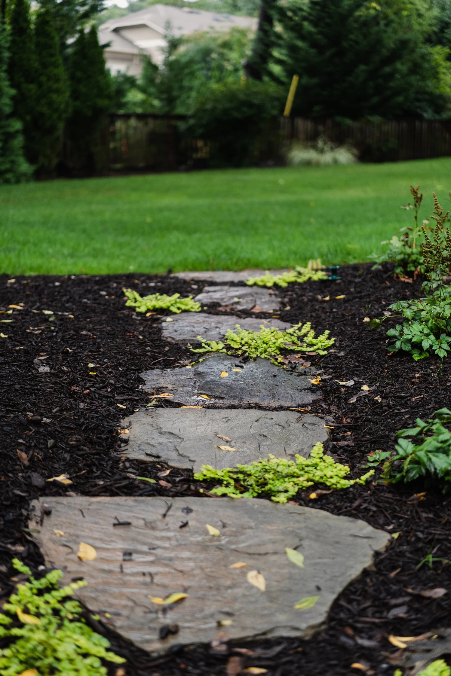 Hardscape