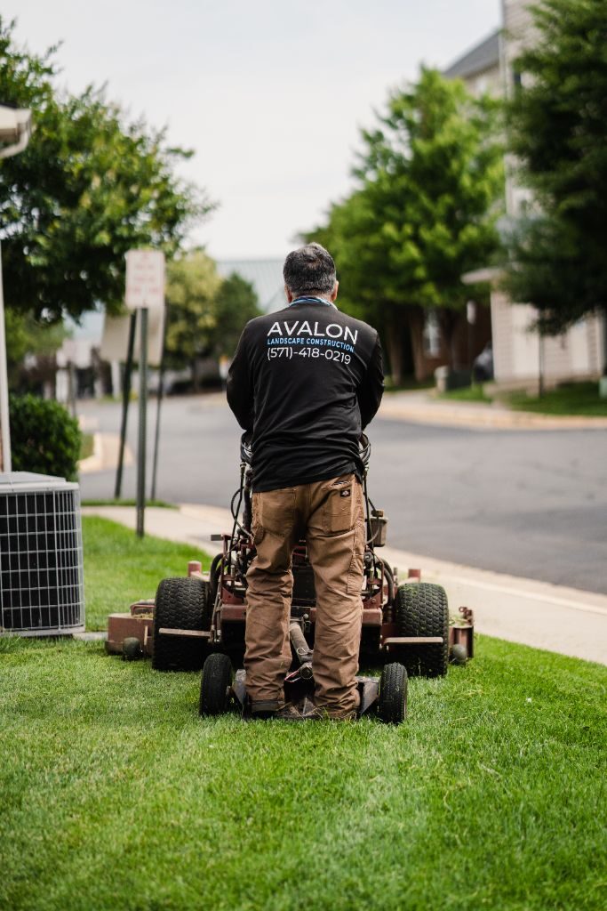 Property Maintenance